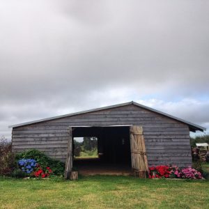 Lancewood-Villa-Barn-Venue-Nelson