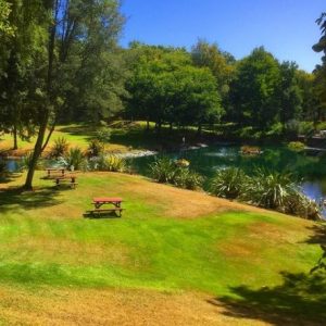 gardens of the world